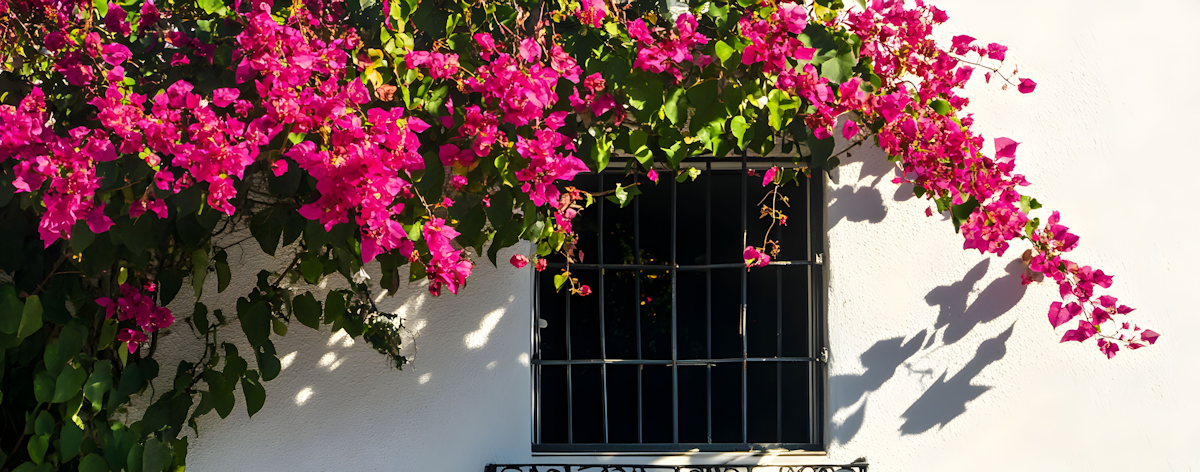 slider image slider_item_irKifJ